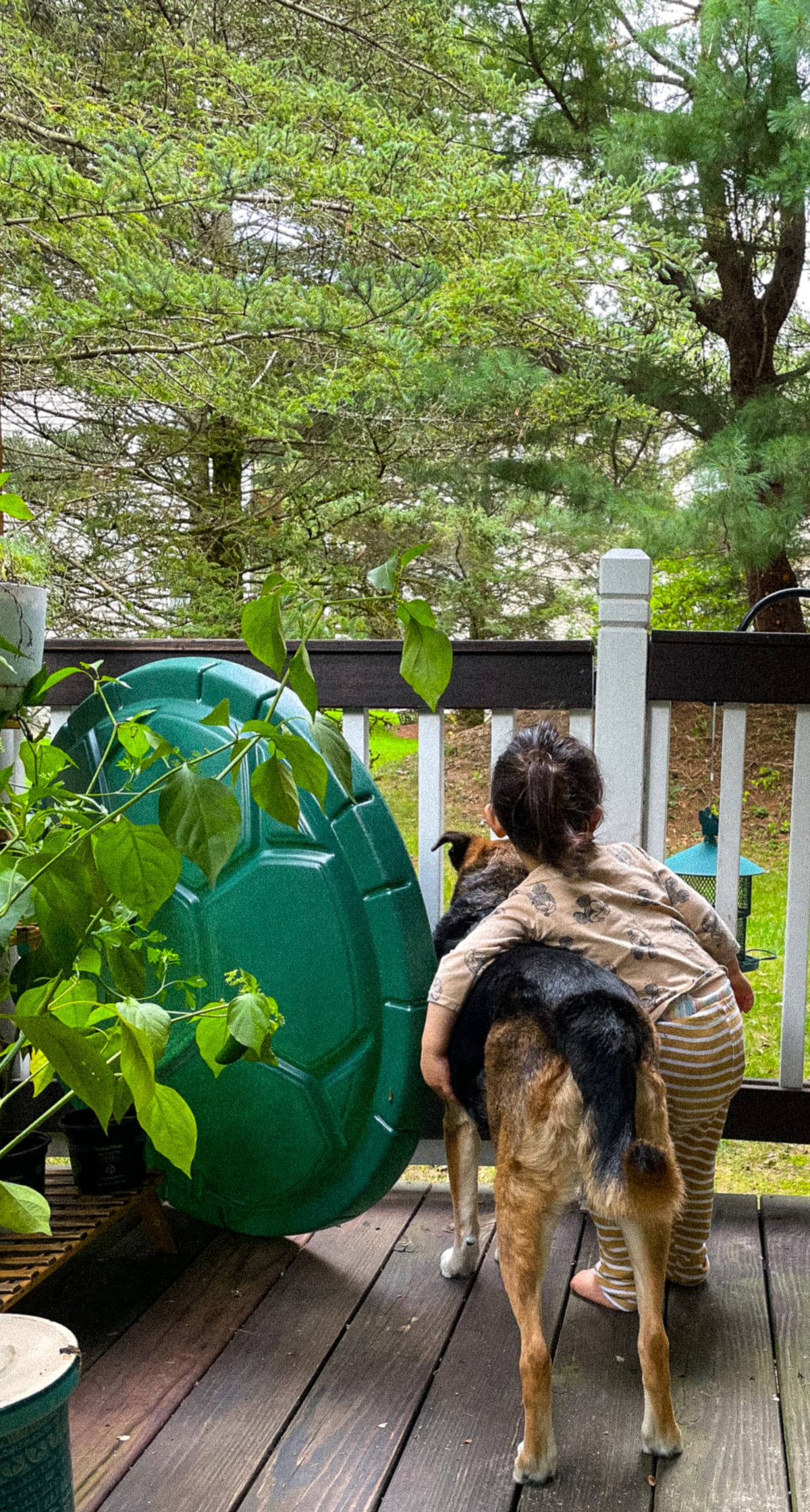 The Practice of Small Experiments