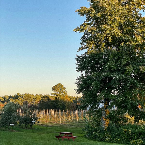 Learning to Carry Seasons With Me: A Geography of Transition